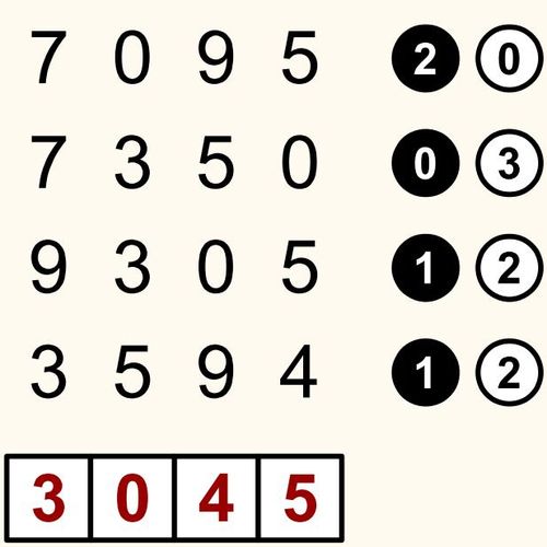 Solution Solution Puzzle Mastermind